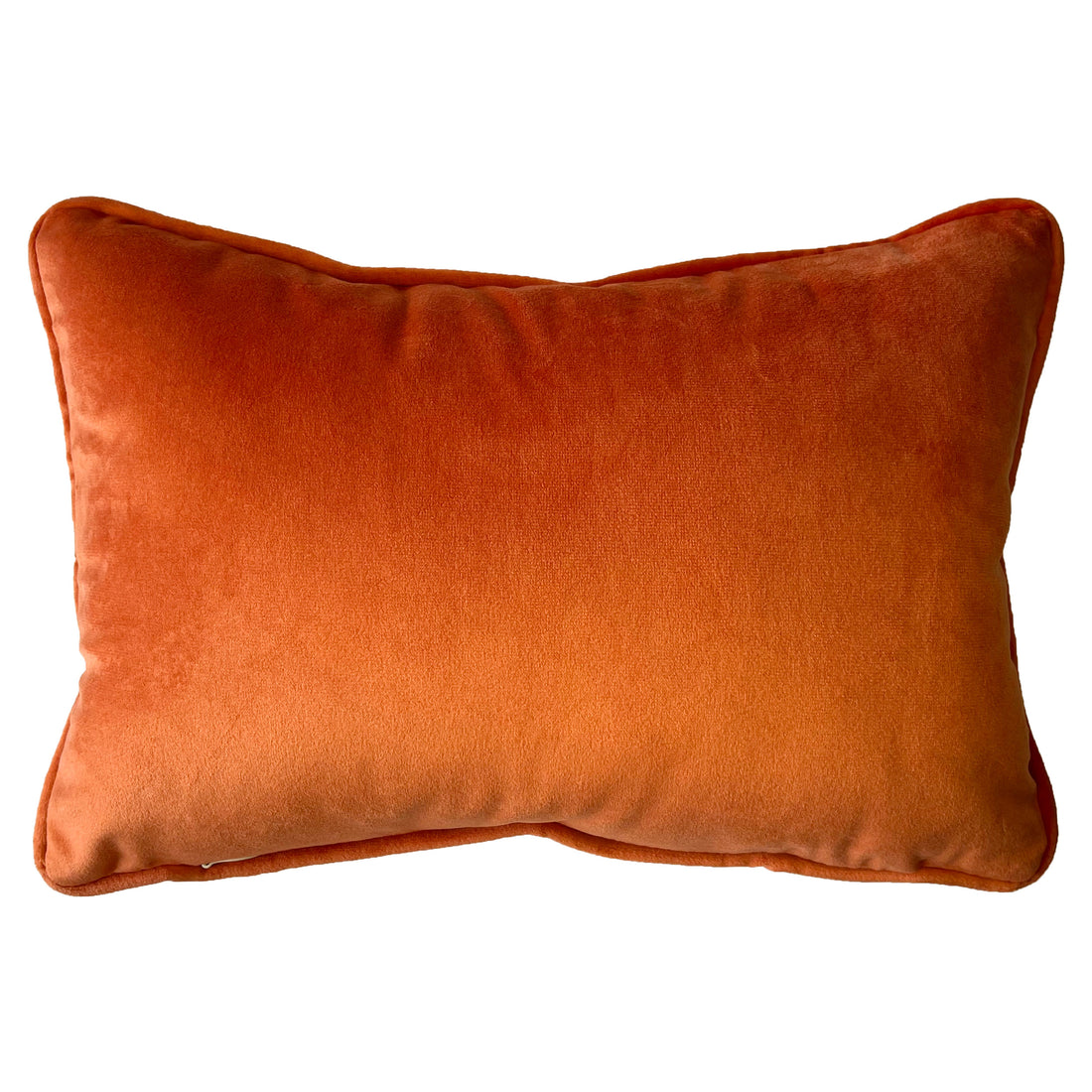 Phoenix Baby Cushion